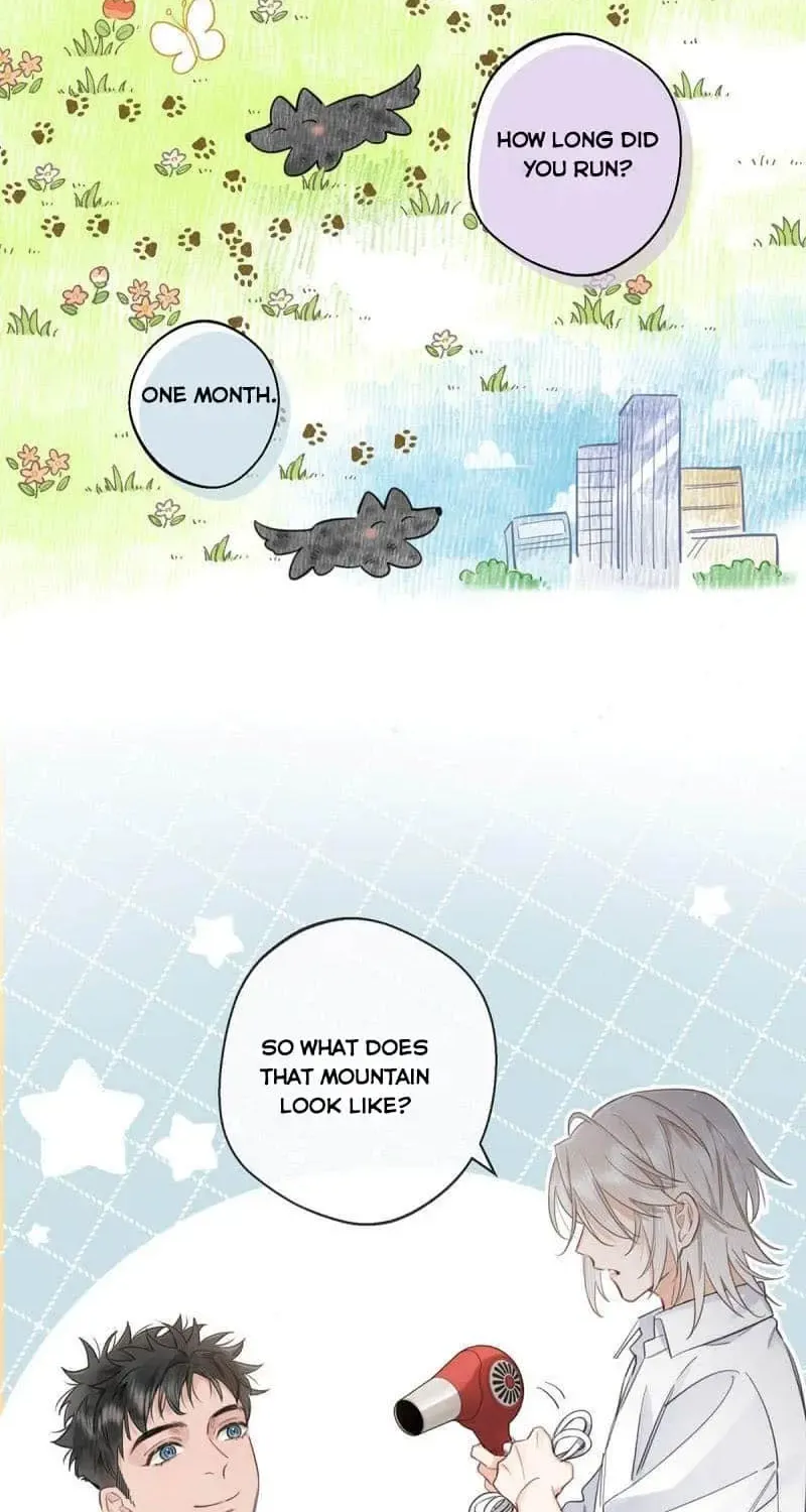 Chapter 6 — page 17