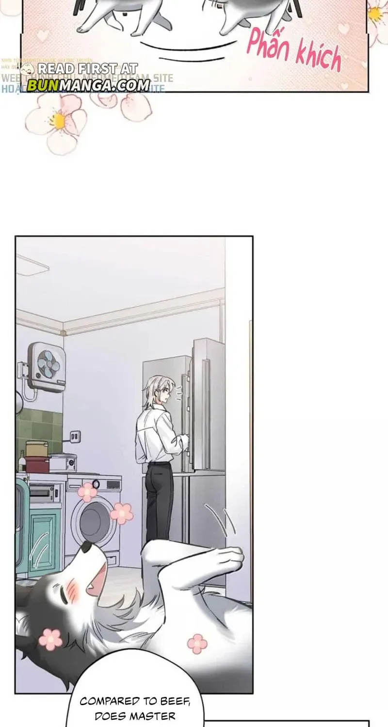 Chapter 13 — page 4