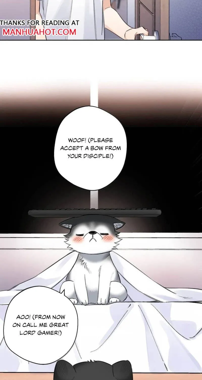 Chapter 14 — page 11