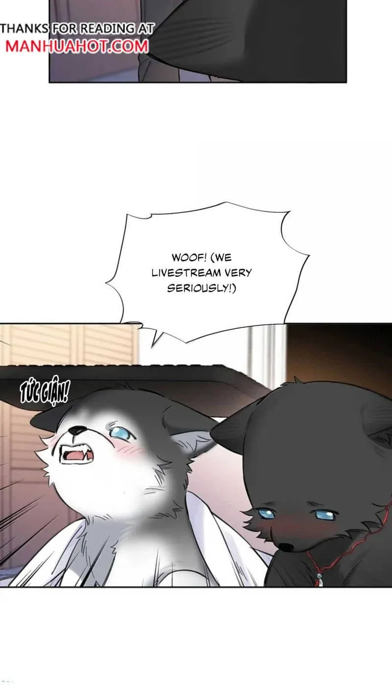 Chapter 14 — page 24