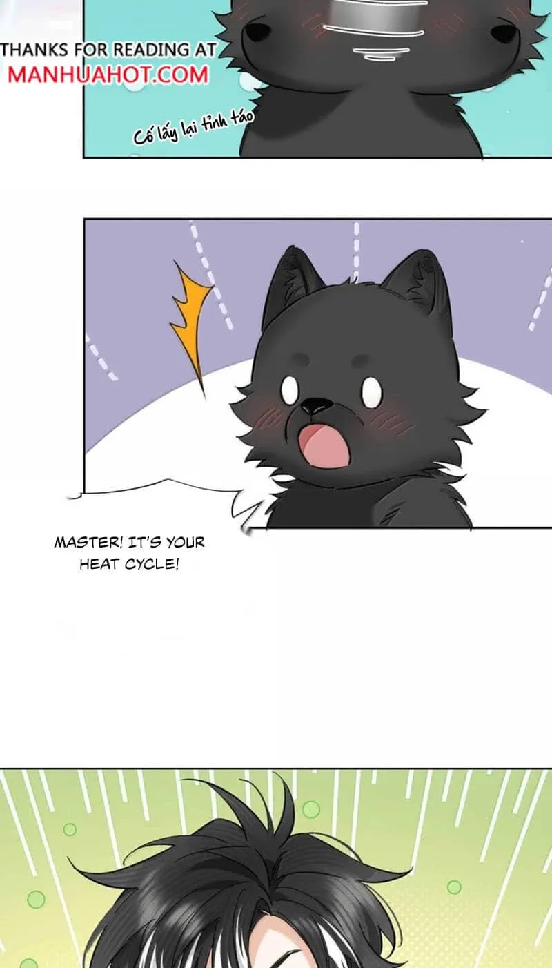 Chapter 14 — page 29
