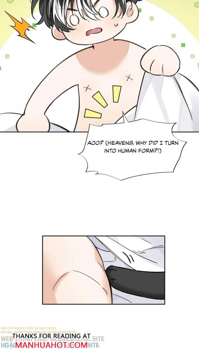 Chapter 14 — page 30