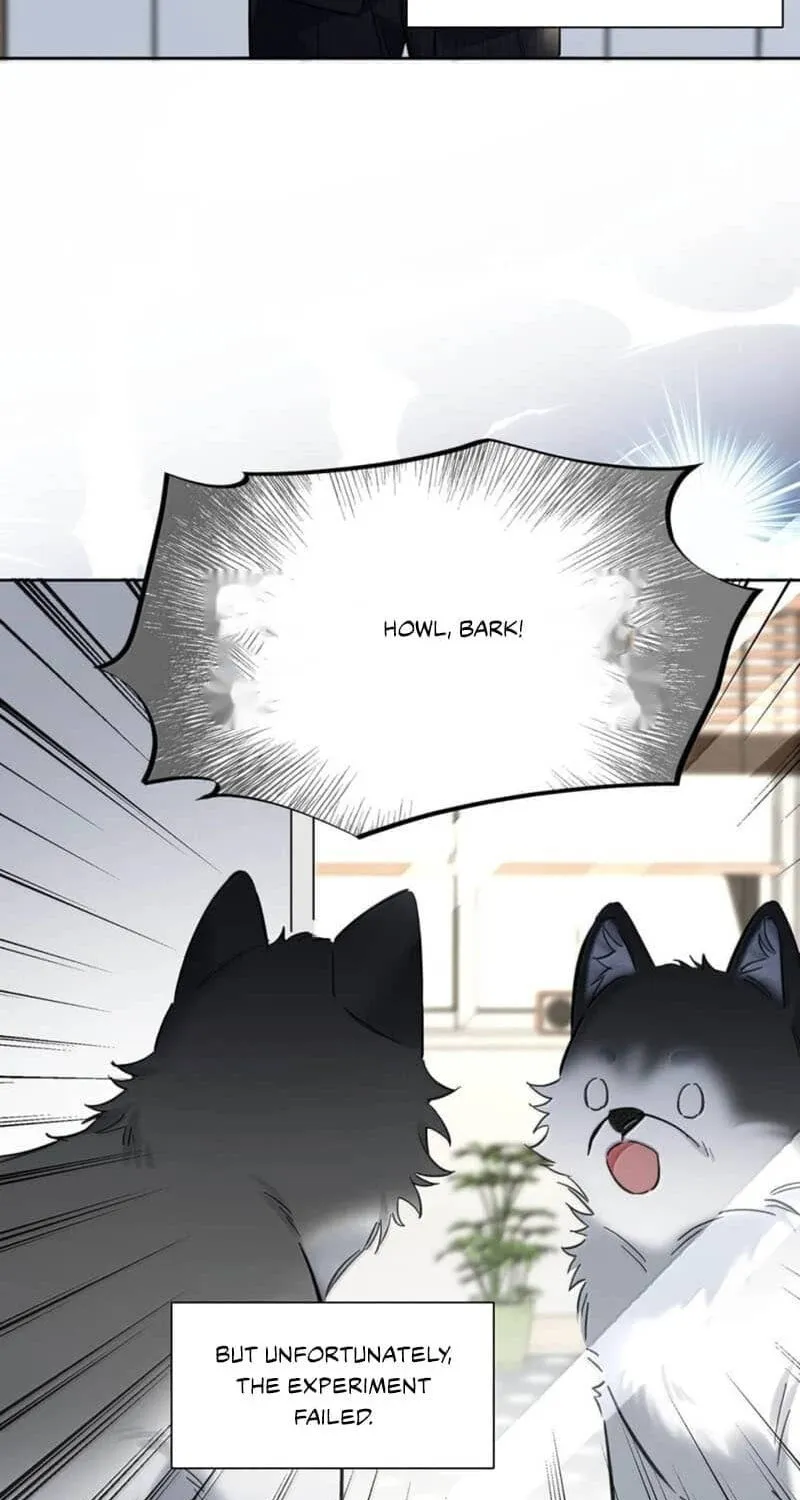 Chapter 15 — page 15