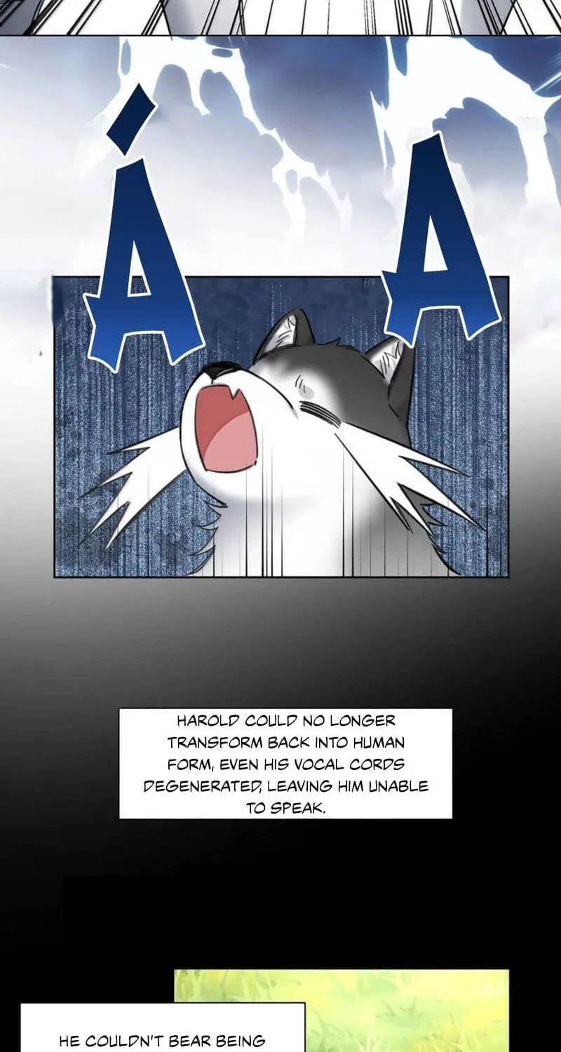 Chapter 15 — page 17