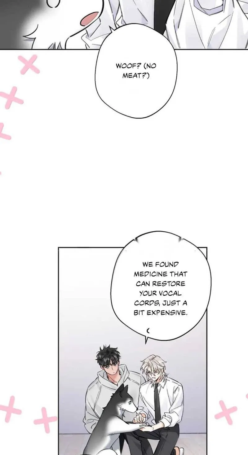 Chapter 17 — page 41