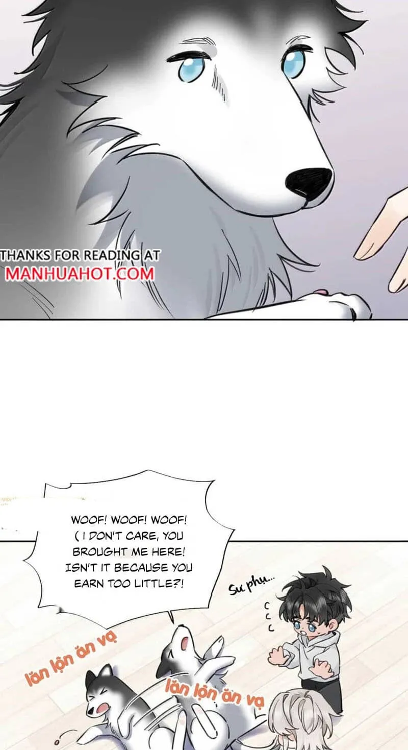 Chapter 17 — page 43