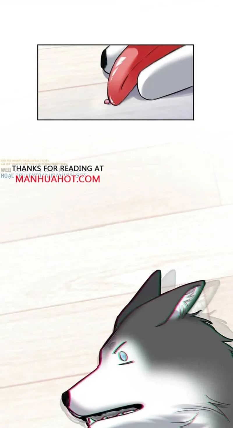 Chapter 17 — page 46