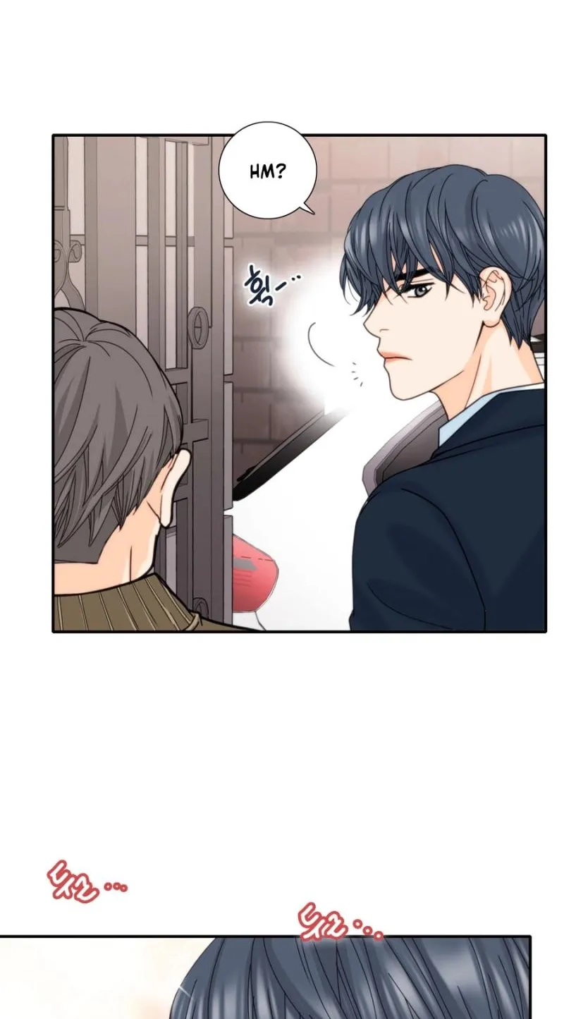 Chapter 14 — page 45