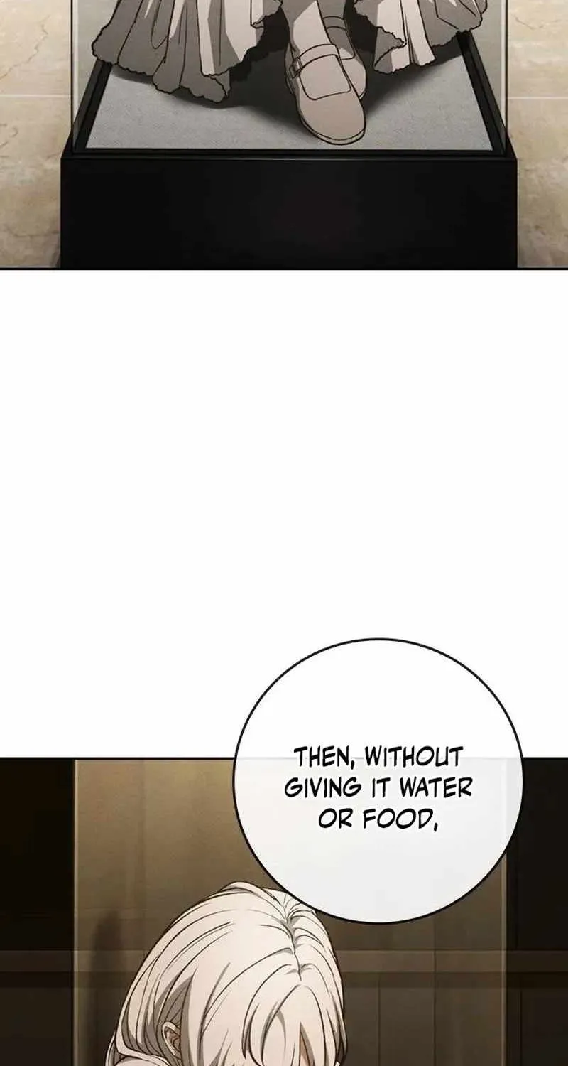 Chapter 19 — page 162