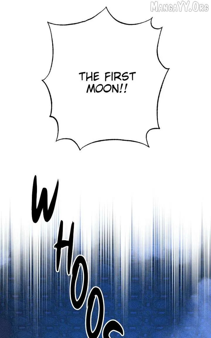 Chapter 29 — page 99