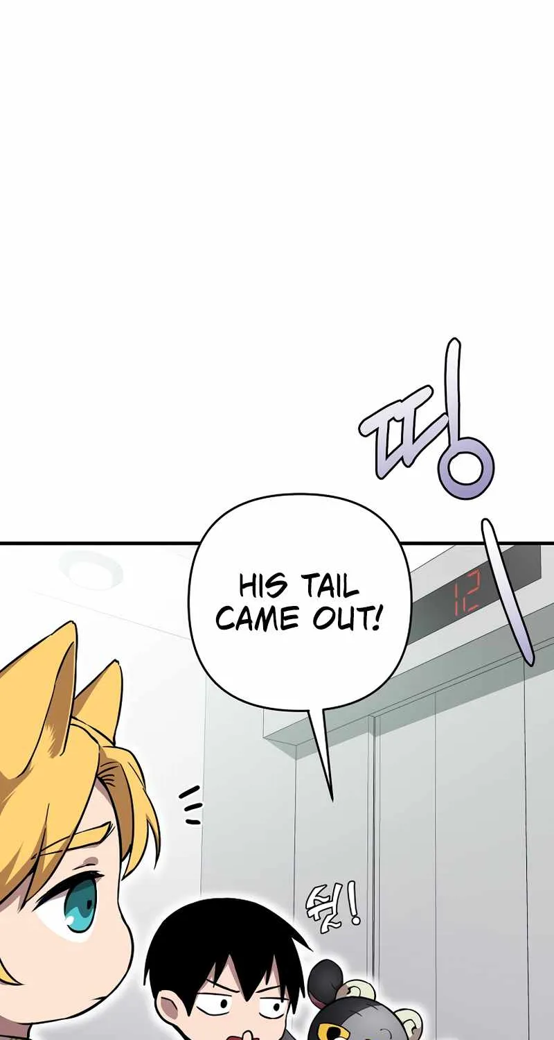 Chapter 5 — page 43