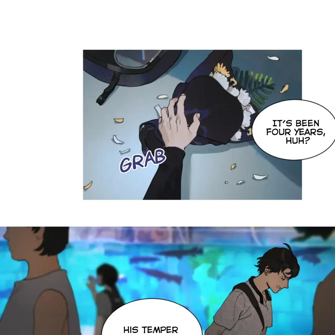 Chapter 3 — page 55