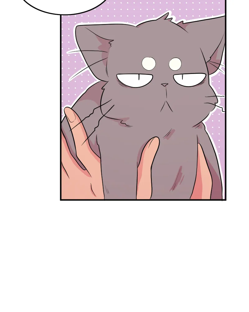 Chapter 20 — page 45