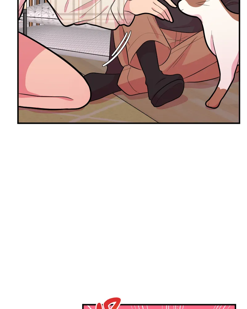 Chapter 21 — page 19