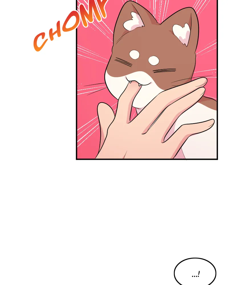 Chapter 21 — page 20