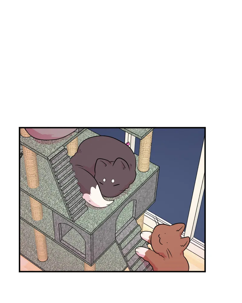Chapter 21 — page 7