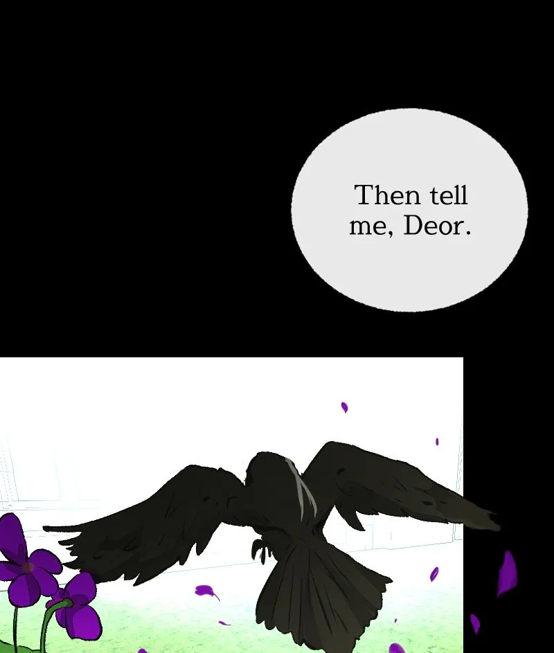 Chapter 1 — page 43