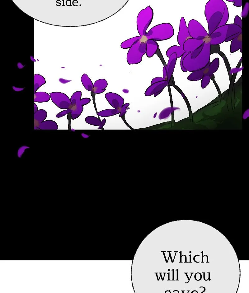 Chapter 1 — page 47