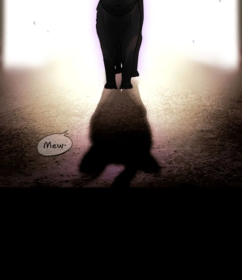 Chapter 20 — page 43
