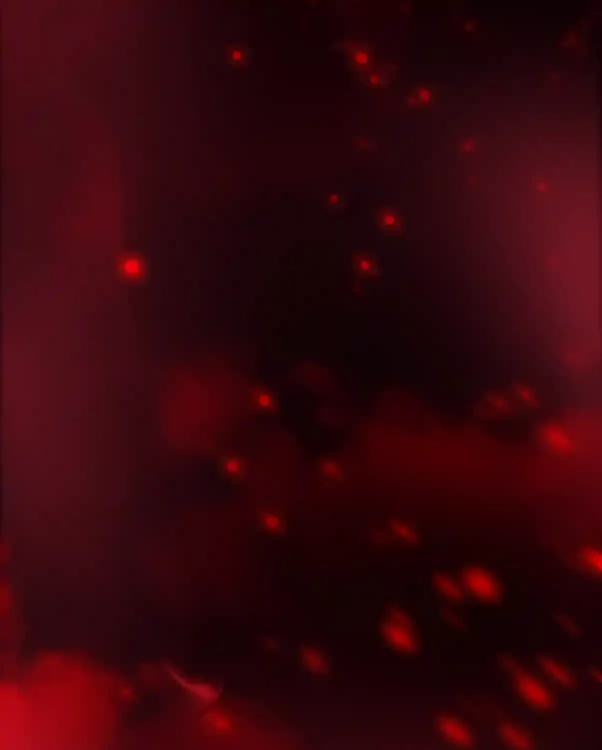 Chapter 298 — page 88