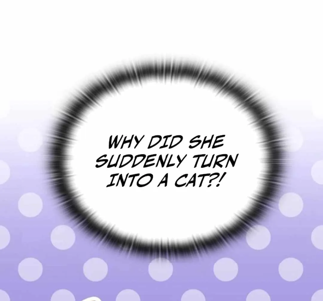 Chapter 13 — page 95