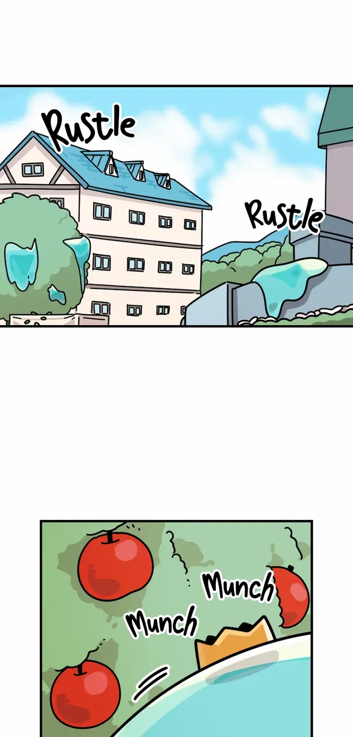 Chapter 2 — page 7