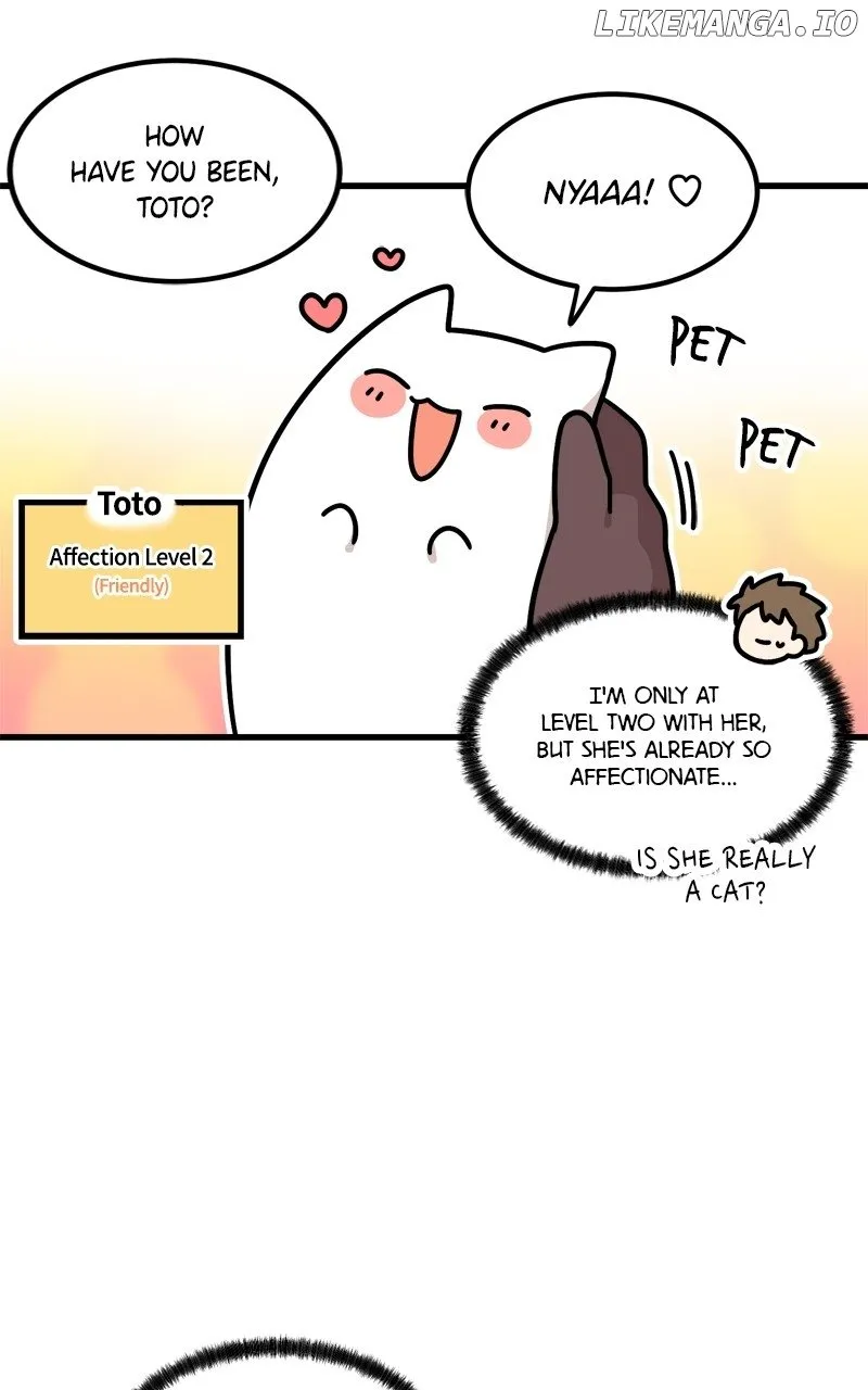 Chapter 4 — page 62