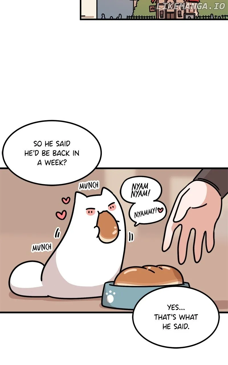Chapter 4 — page 96