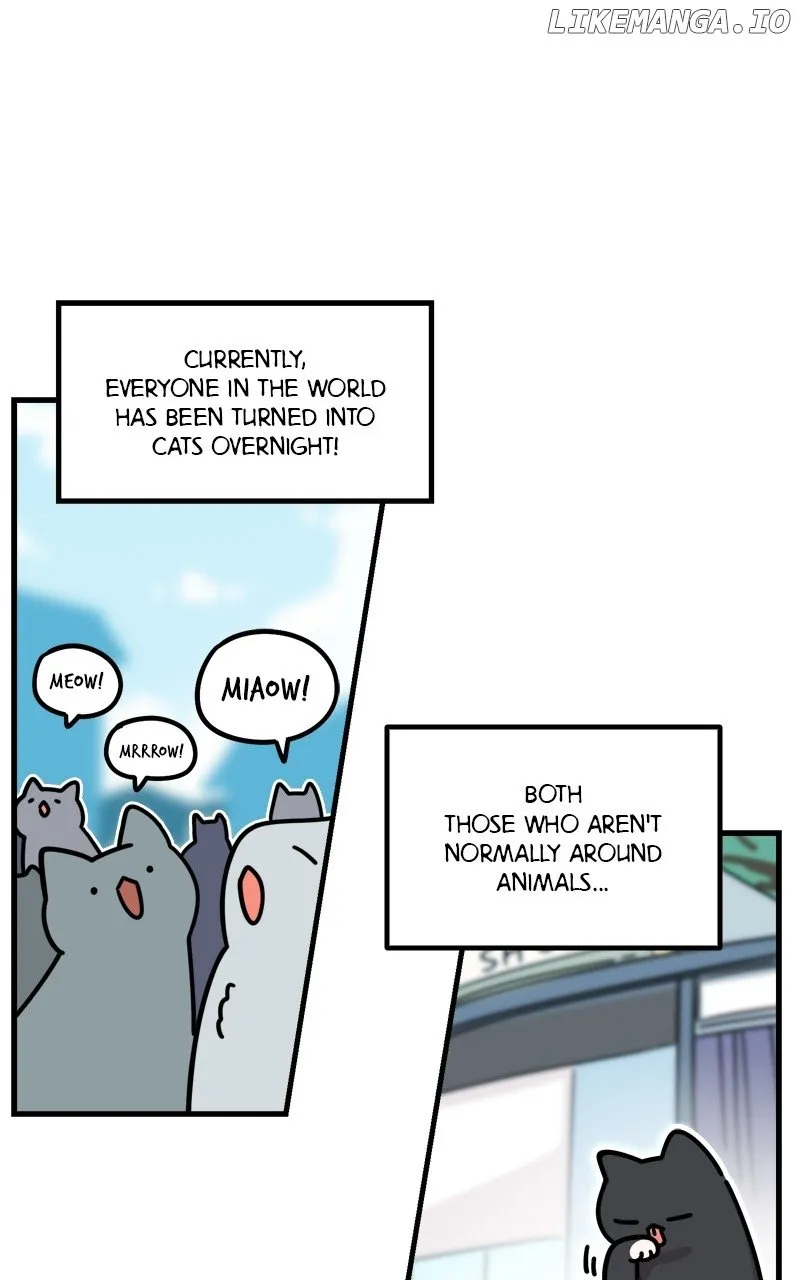 Chapter 9 — page 38