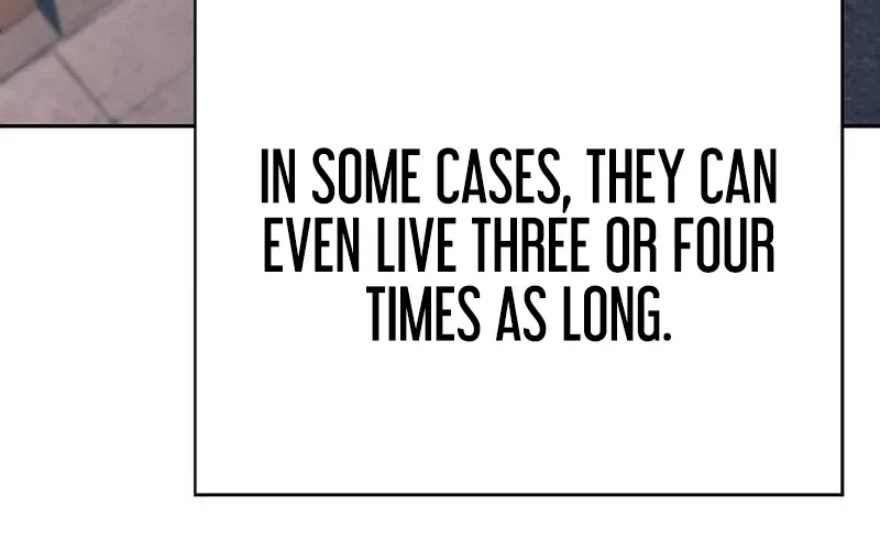 Chapter 60 — page 88