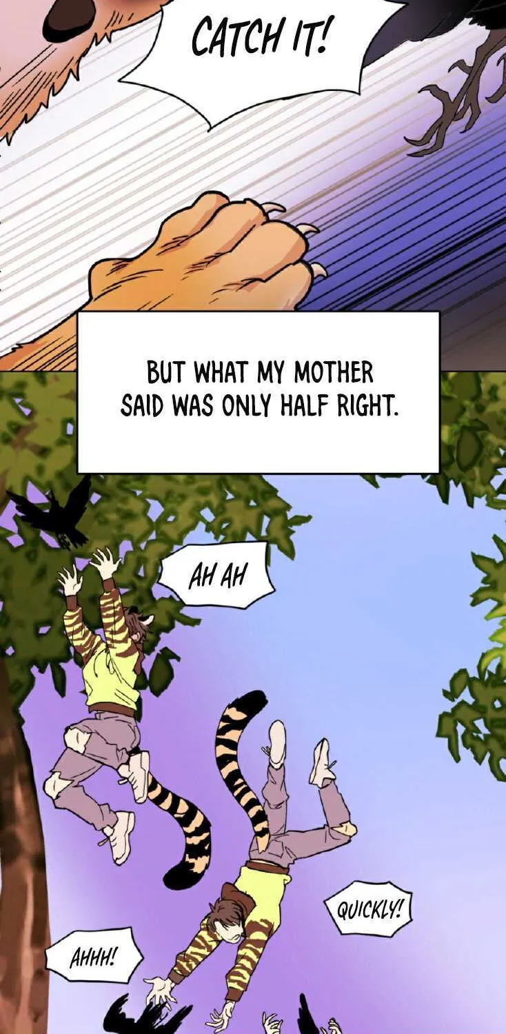 Chapter 1 — page 27