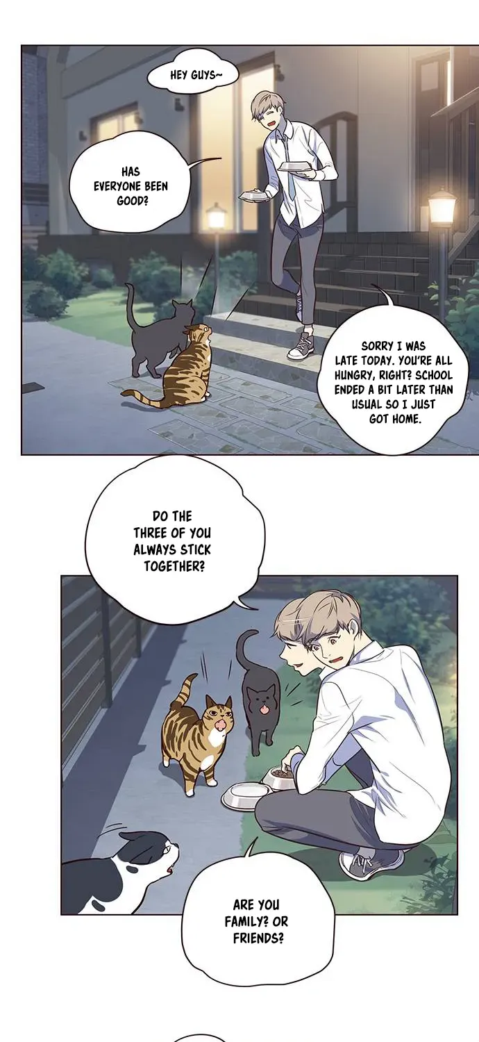 Chapter 1 — page 29