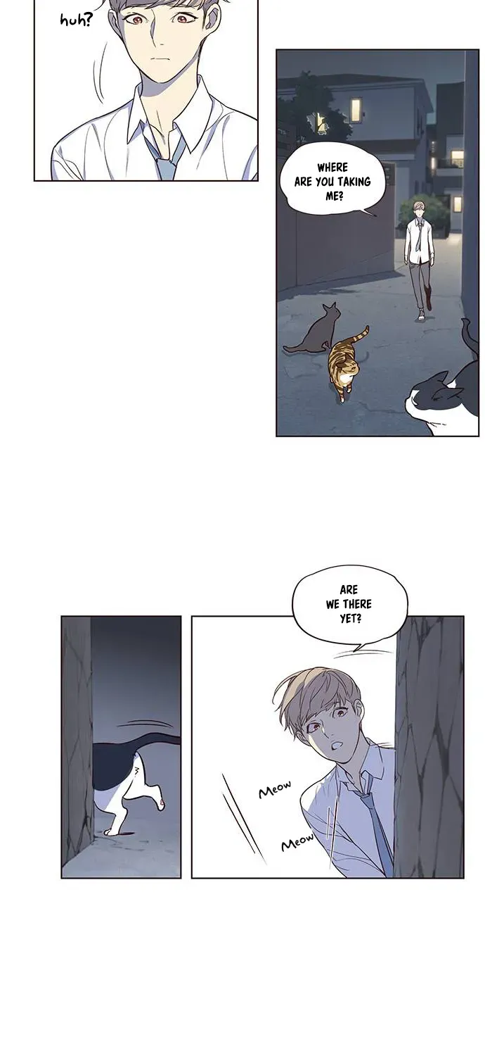 Chapter 1 — page 32