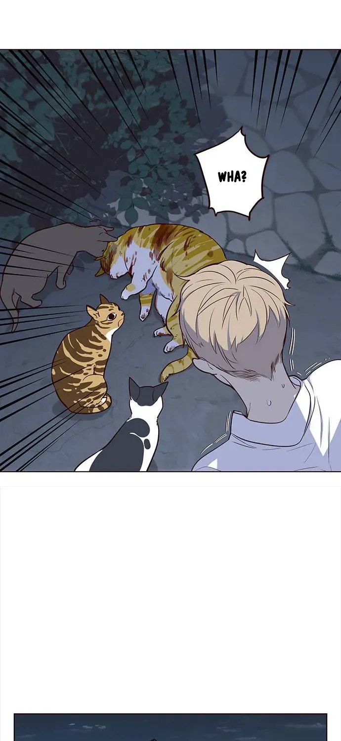 Chapter 1 — page 33