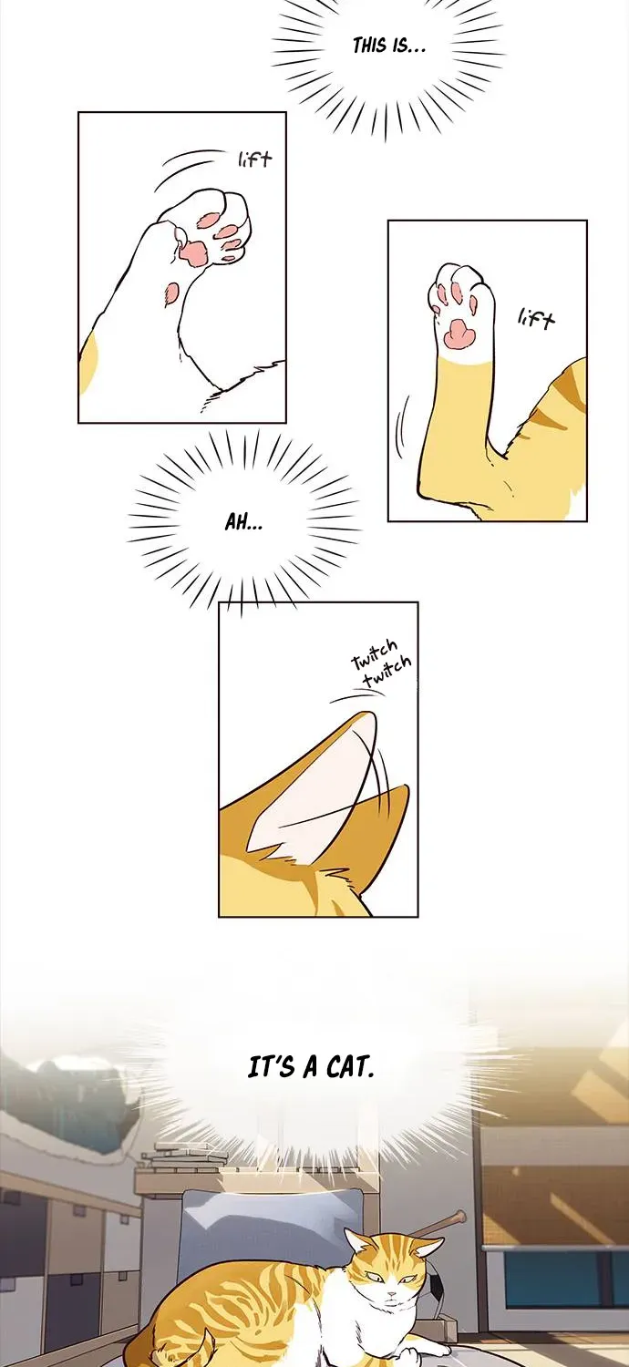 Chapter 1 — page 36