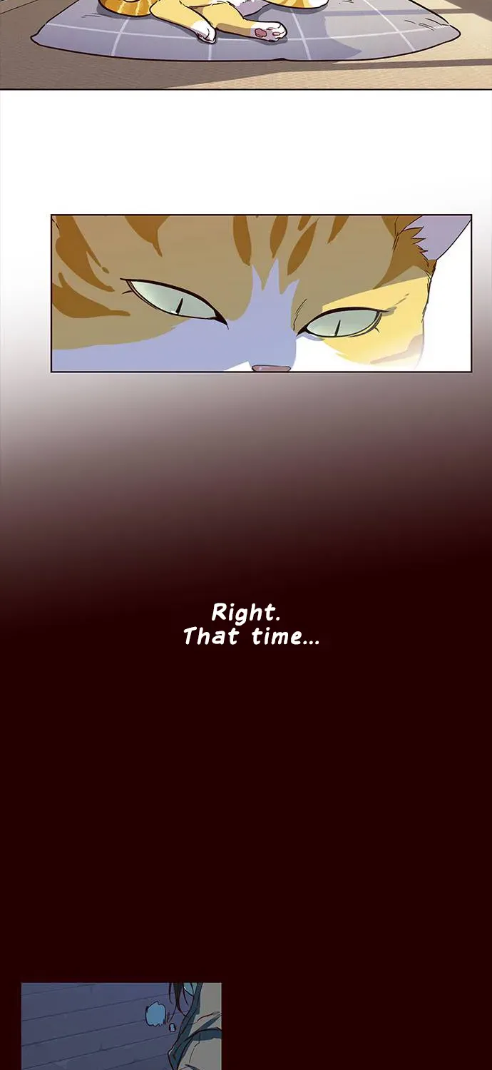 Chapter 1 — page 37