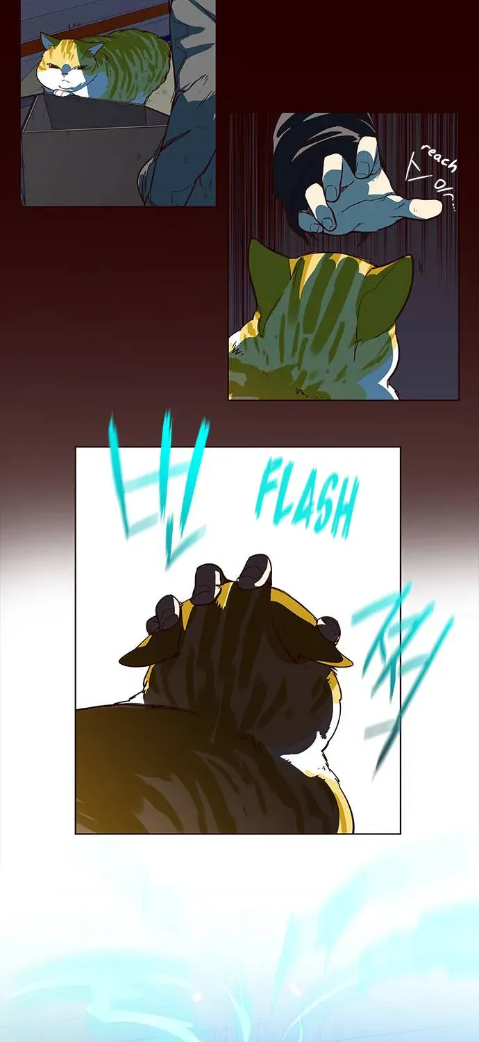 Chapter 1 — page 38