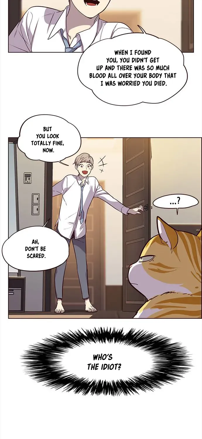 Chapter 1 — page 41
