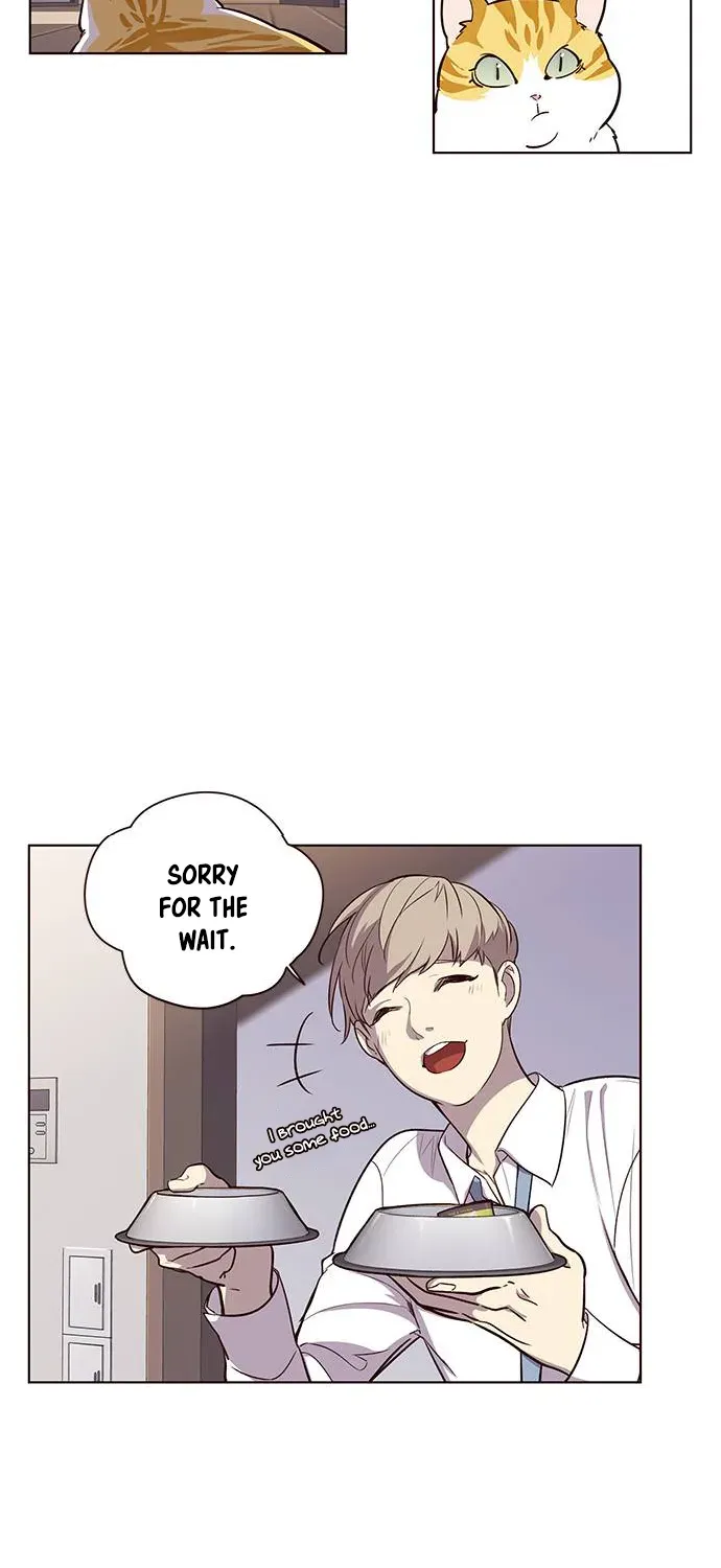 Chapter 1 — page 43