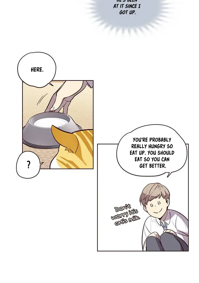 Chapter 1 — page 45