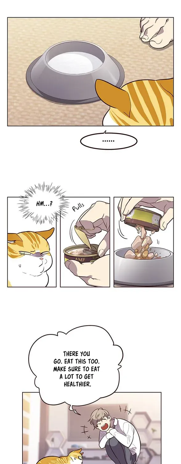 Chapter 1 — page 46