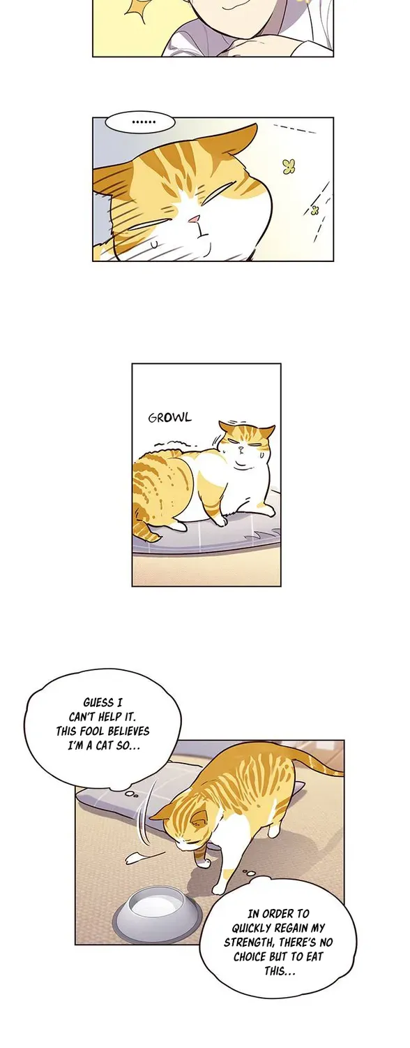 Chapter 1 — page 48