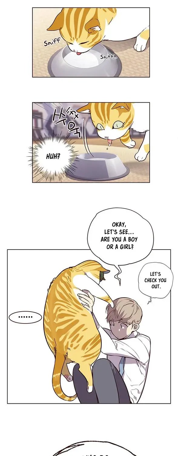 Chapter 1 — page 49
