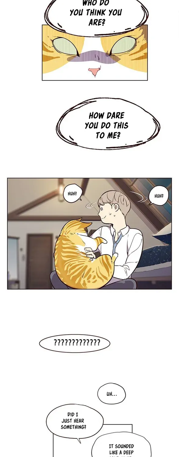 Chapter 1 — page 50