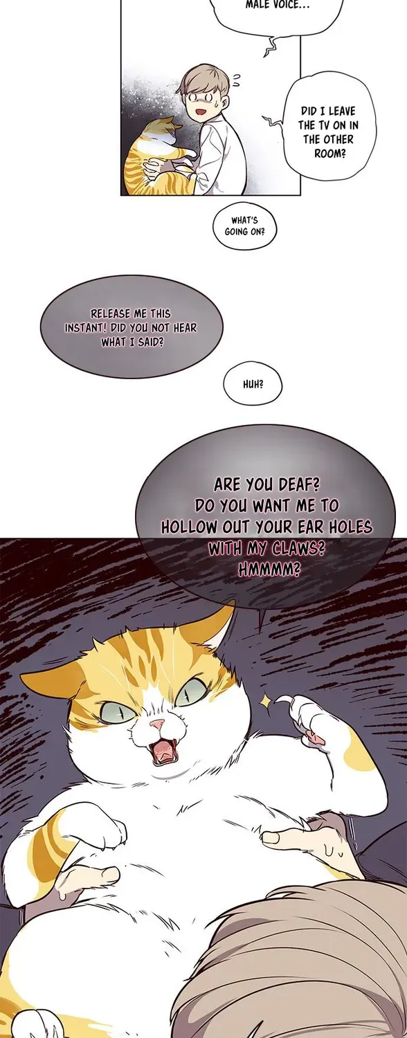 Chapter 1 — page 51