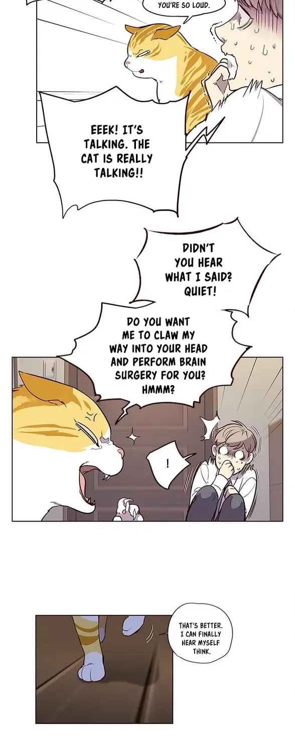 Chapter 1 — page 53