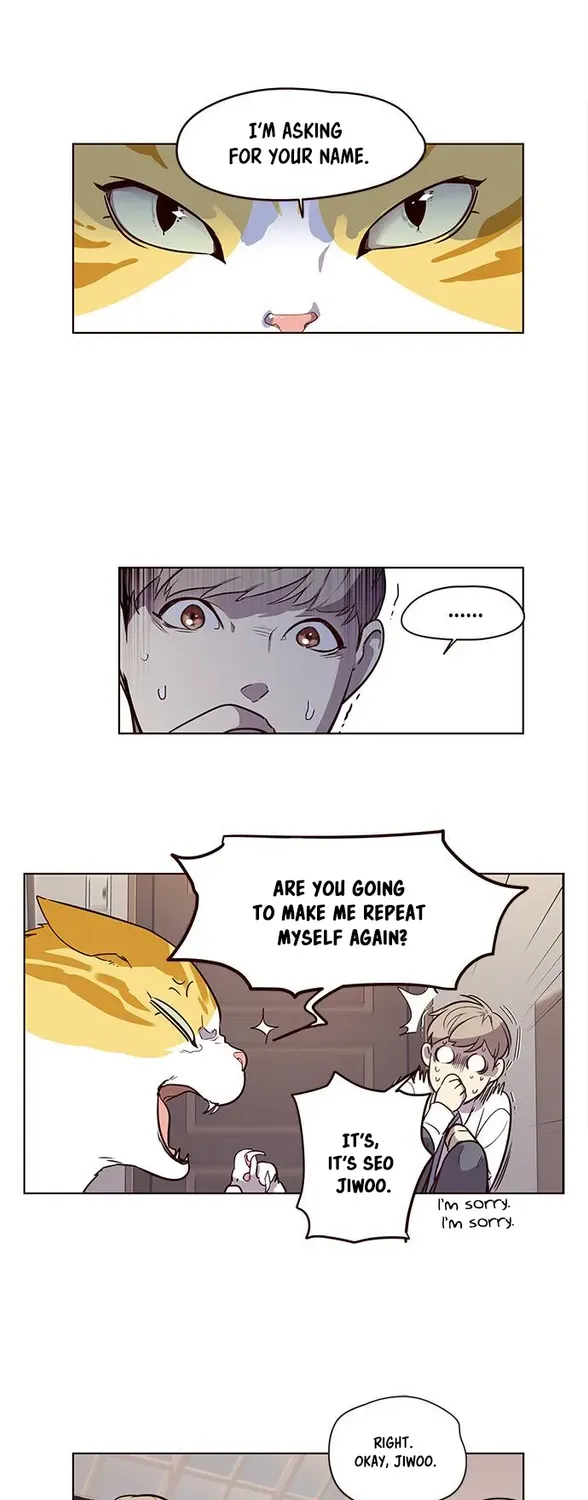 Chapter 1 — page 55