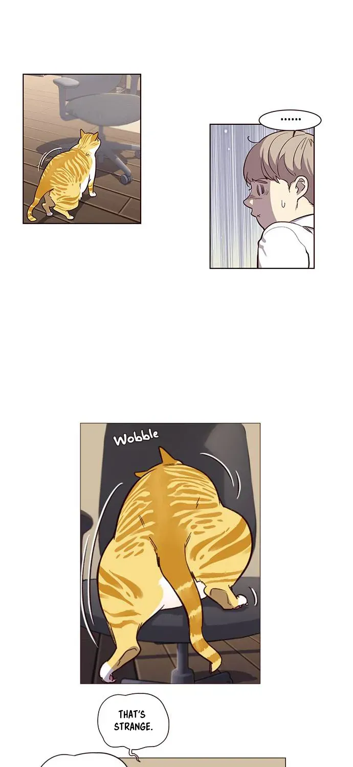 Chapter 1 — page 57