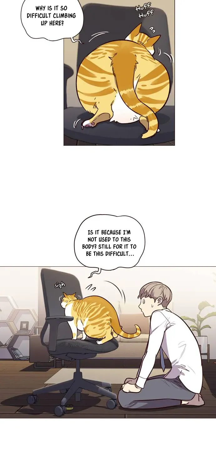 Chapter 1 — page 58