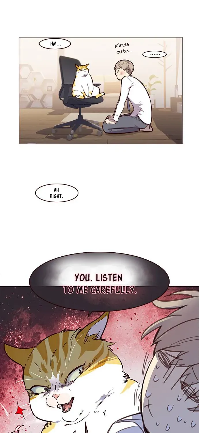 Chapter 1 — page 59